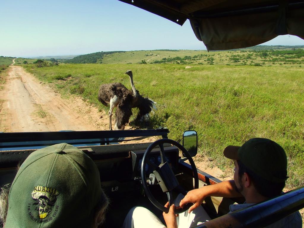 Buccaneers Beach Lodge, Chintsa, South Africa Экстерьер фото