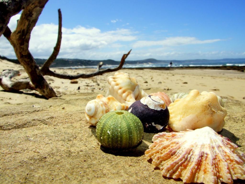 Buccaneers Beach Lodge, Chintsa, South Africa Экстерьер фото